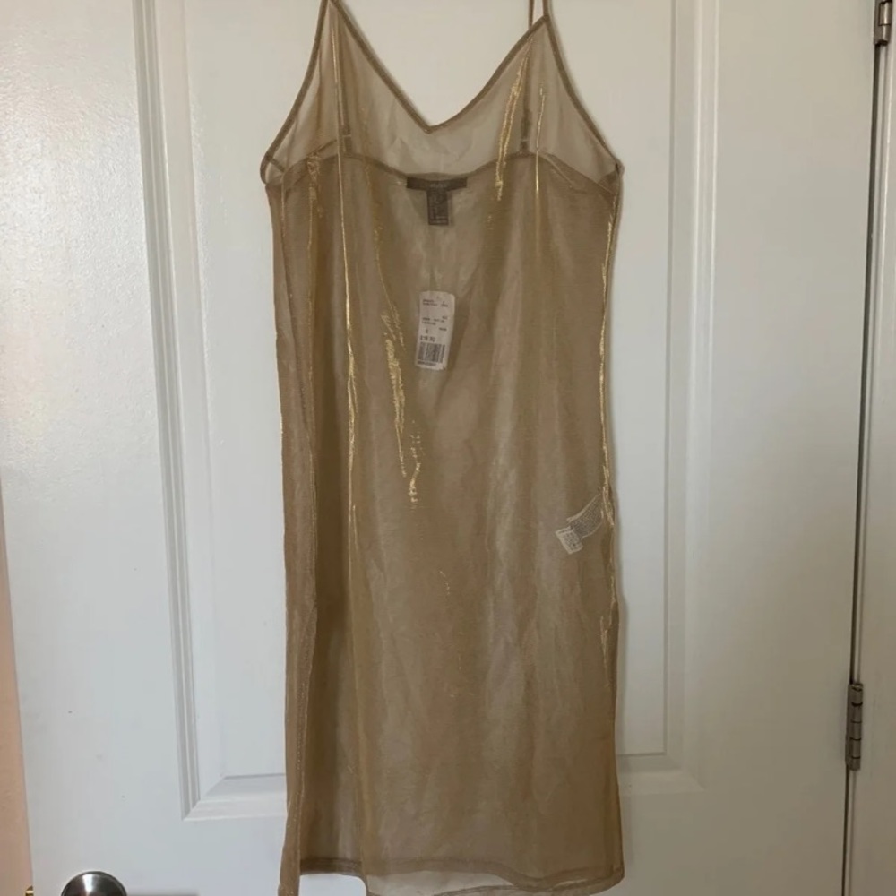 Sheer Dress